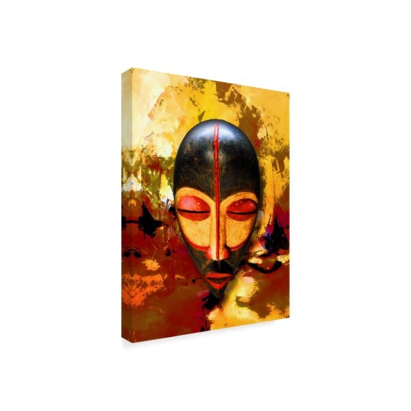 Ata Alishahi 'Mask' Canvas Art,35x47